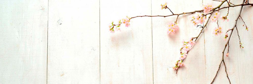 職員募集のお知らせ